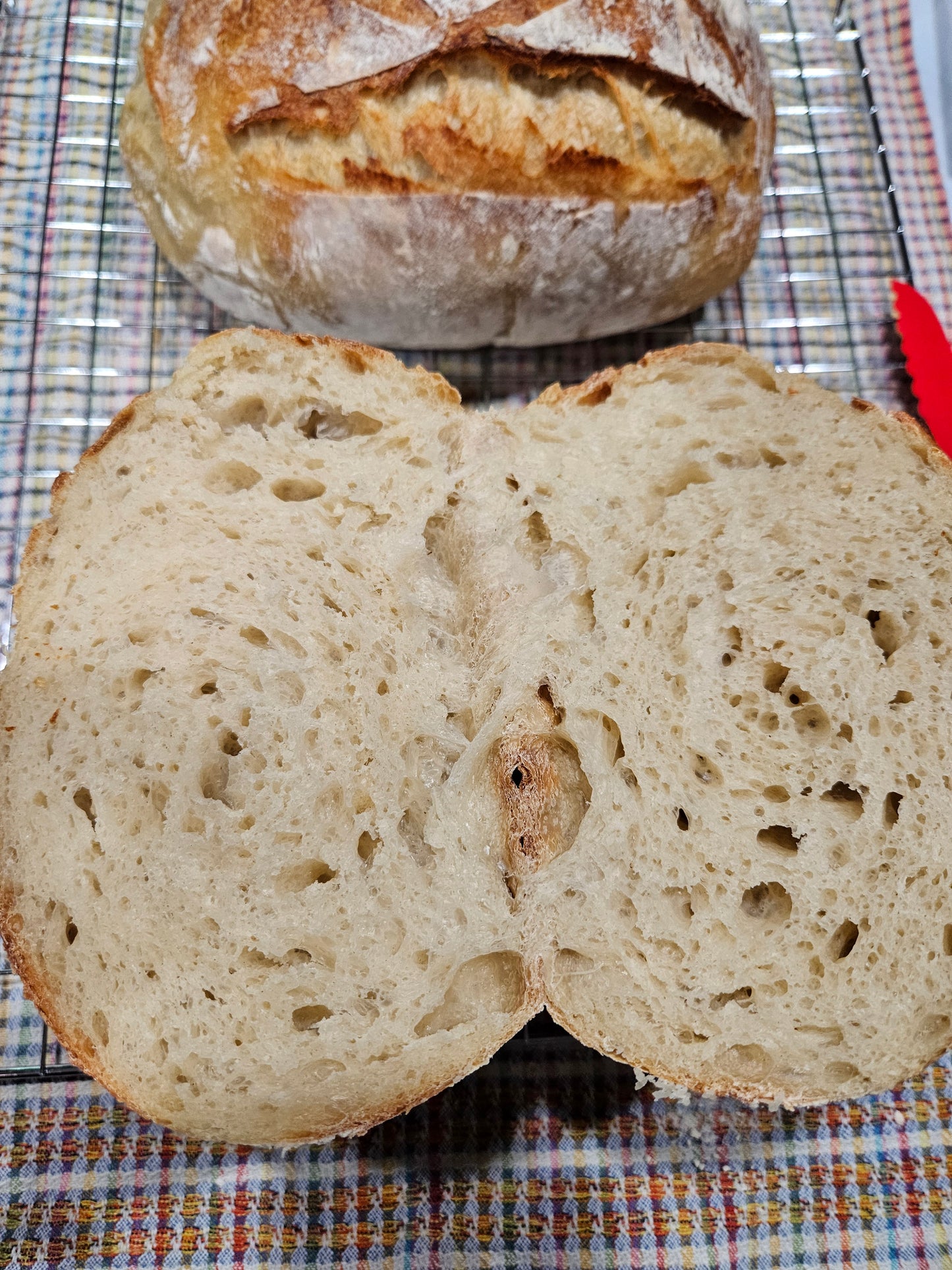 Dehydrated Sourdough Starter